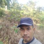 Heri Purwoko Profile Picture